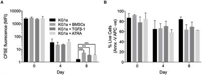 Recreating the Bone Marrow Microenvironment to Model Leukemic Stem Cell Quiescence